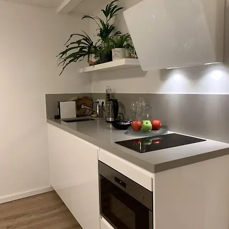 Designer Loft In New 38b Delft